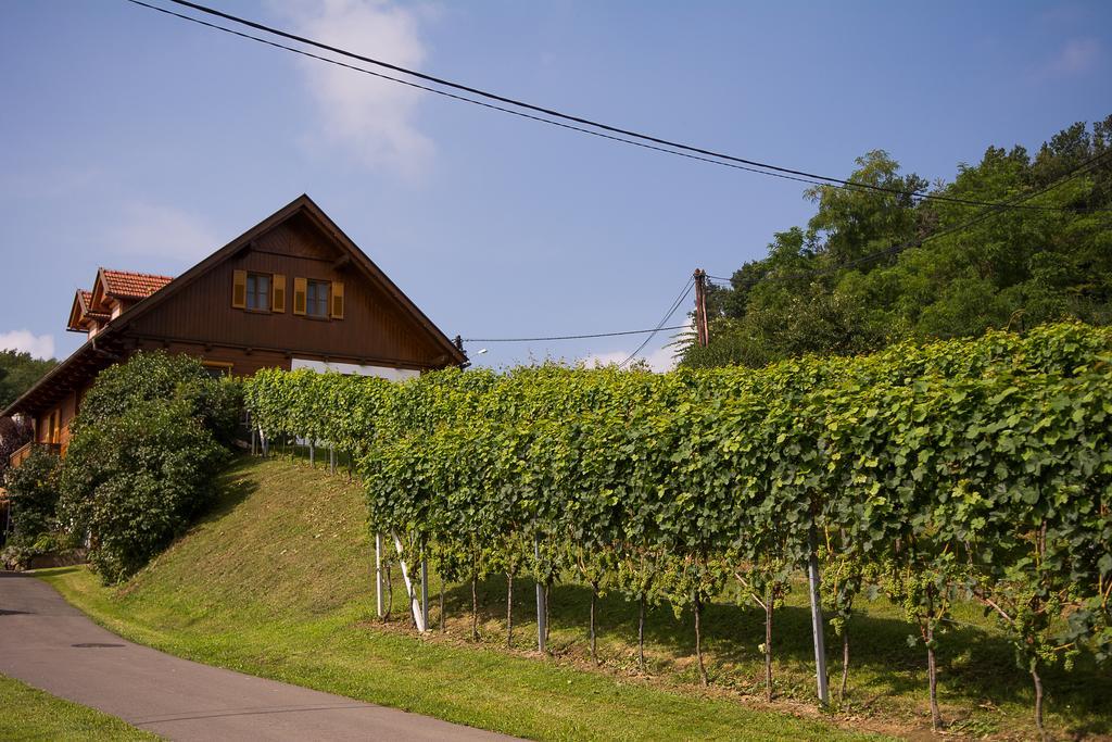 Privatunterkunft Weinhof Radl Klöch
