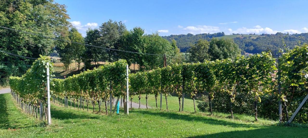 Weinhof Radl Privatunterkunft