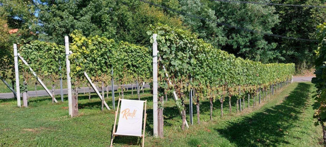 Weinhof Radl Privatunterkunft Klöch