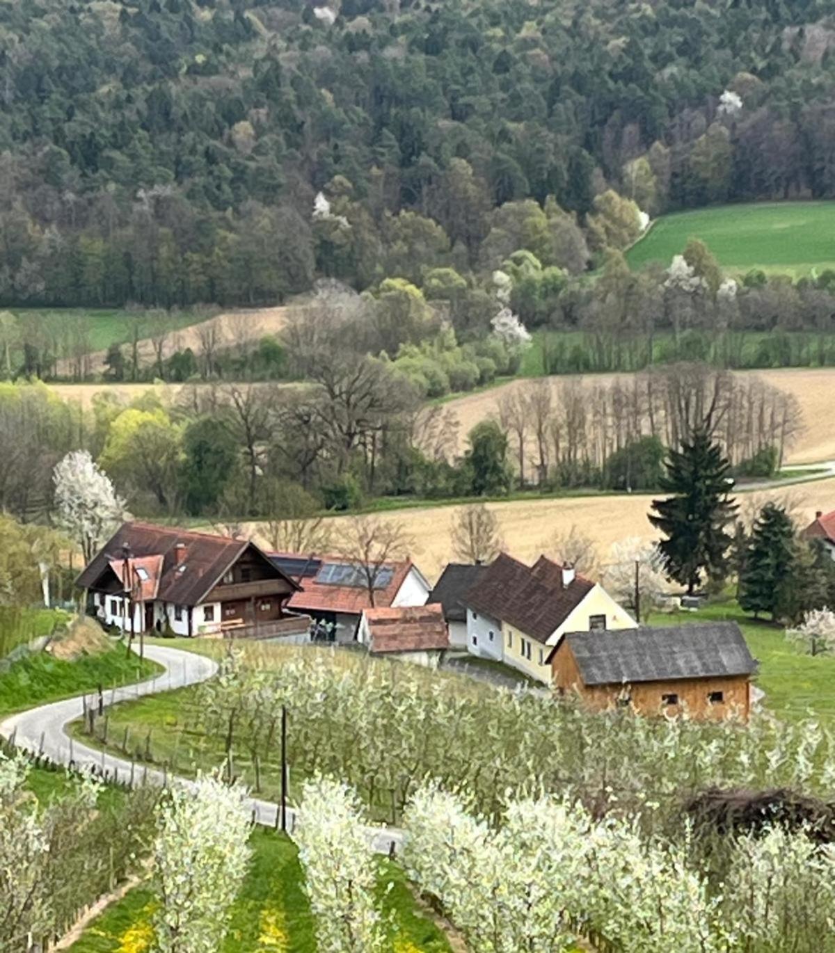 Weinhof Radl *
