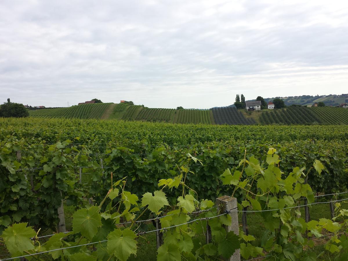 Weinhof Radl Klöch